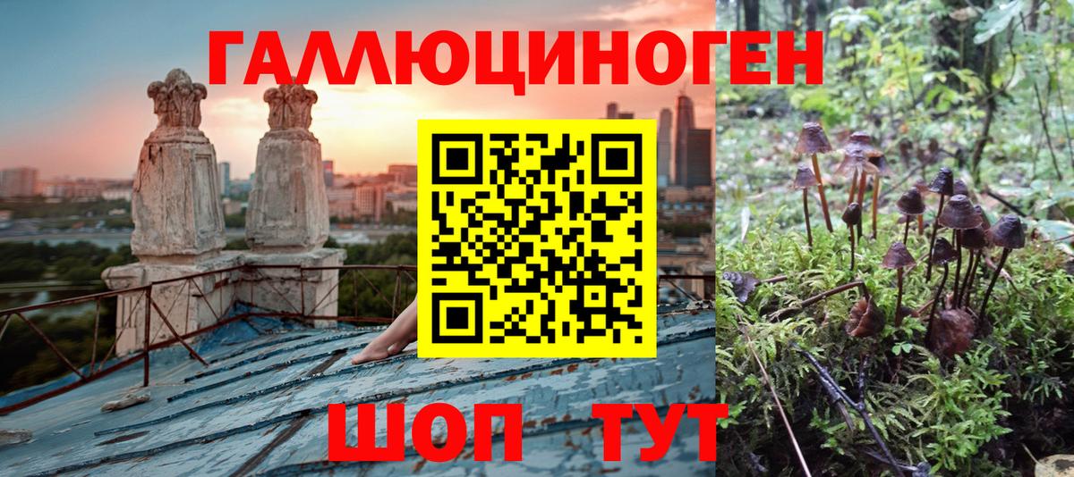 Галлюциногенные грибы MAGIC MUSHROOMS  Галлюциногенные грибы Psilocybe  Вход с VPN  Набережные Челны 
