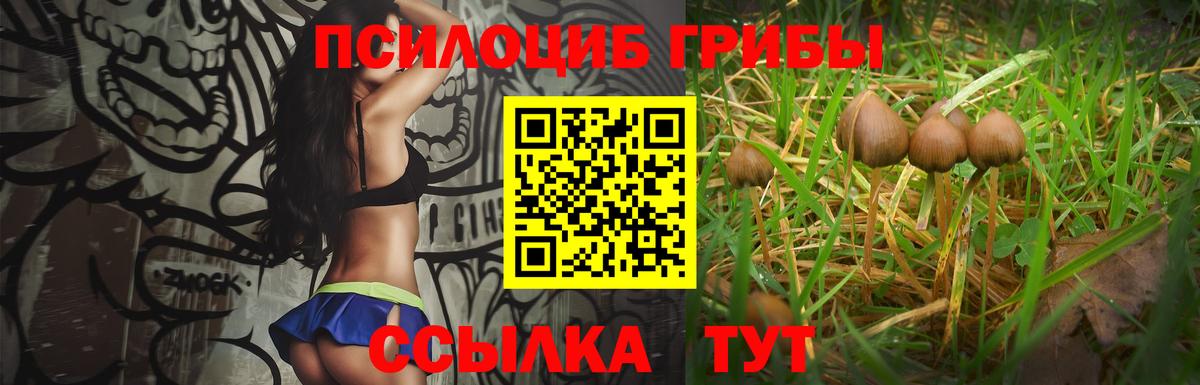 Галлюциногенные грибы мицелий Набережные Челны